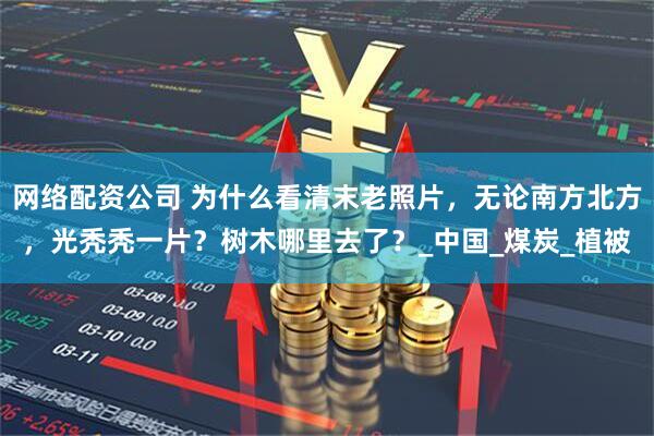 网络配资公司 为什么看清末老照片，无论南方北方，光秃秃一片？树木哪里去了？_中国_煤炭_植被