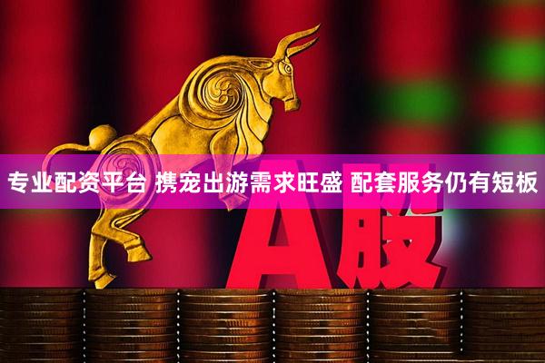 专业配资平台 携宠出游需求旺盛 配套服务仍有短板